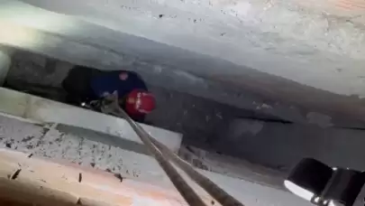 Havalandırma boşluğunda mahsur kalan güvercin kurtarıldı