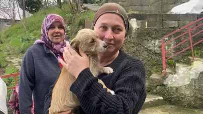 Zonguldak’ta vicdansızlık: yavru köpeği çöpe bıraktılar