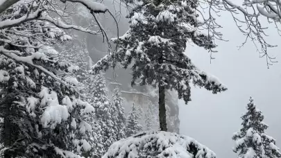 Sümela Manastırı ve Altındere Vadisi, beyaza büründü