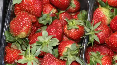 Soğuk hava sebze ve meyve fiyatlarını vurdu