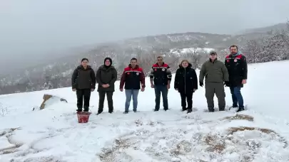 Amasya'da yaban hayvanları için besleme kampanyası başlatıldı