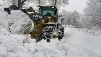 Karadeniz'de karla mücadele çalışmaları