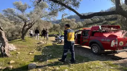 Milas'ta makilik alanda yangın çıktı