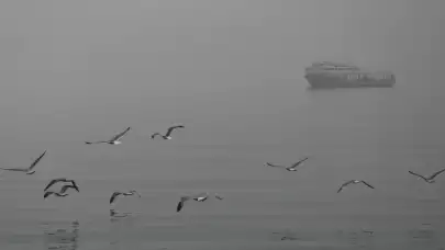 Tekirdağ'da yoğun sis etkili oluyor