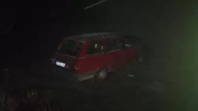 Köpeğe çarpmamak için manevra yapan otomobil tarlaya uçtu: 2 yaralı