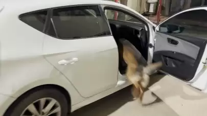 Otomobilin koltuğunun altına gizlemiş metamfetamini 'Mailo' buldu