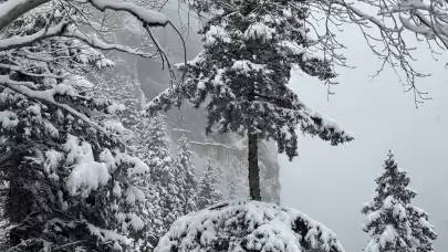 Sümela Manastırı ve Altındere Vadisi beyaz örtüsüyle görüntülendi