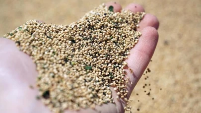 Kinoa, pirincin yerini tutar mı? Hangisi daha sağlıklı?