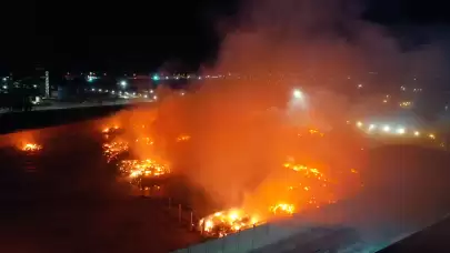 Aydın'daki yangına itfaiye müdahalesi sürüyor