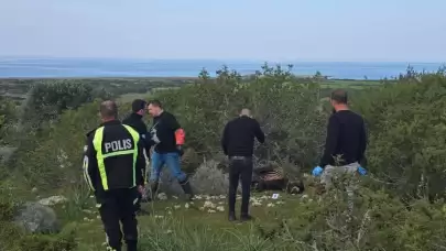 KKTC'de 14 yaban eşeğinin öldürülmesine ilişkin soruşturma