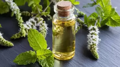 Nane yağı nedir ve faydaları nelerdir?