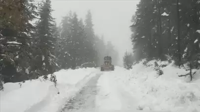 Kastamonu'da kar, 218 köyde ulaşımı kapattı