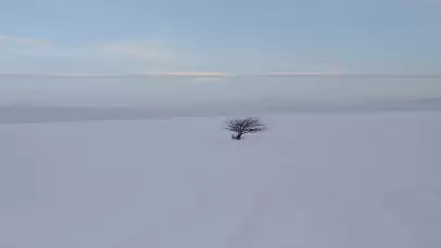 Bayburt'ta kışın sert yüzü: Kar kalınlığı 1 metreyi aştı