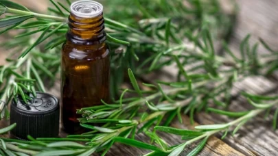 Biberiye yağı baş ağrısına iyi gelir mi?