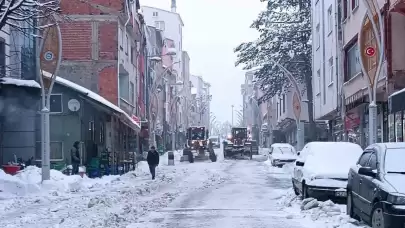 Ordu'nun 16 ilçesinde eğitime kar engeli