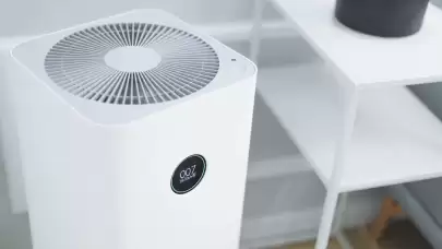 Hava Temizleyiciler Ne İşe Yarar?