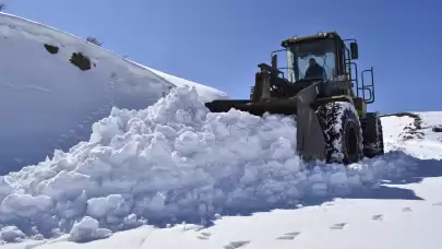 Bitlis'te kar nedeniyle kapanan 170 yol açıldı