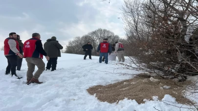 Samsun'da yaban hayvanları için doğaya yem bırakıldı