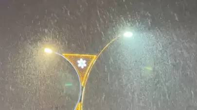 Yüksekova’da lapa lapa kar yağışı başladı