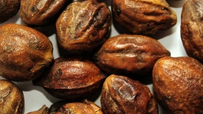 Sarı halile faydaları nedir?