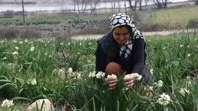 Hobi olarak başladı geçim kaynağı oldu