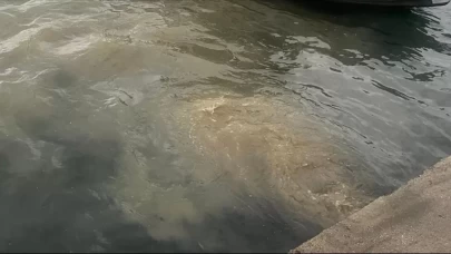 İSKİ'ye 2,6 milyon liralık "çevre" cezası