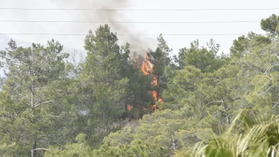 Antalya'da ormanlık alanda çıkan yangın paniğe neden oldu!