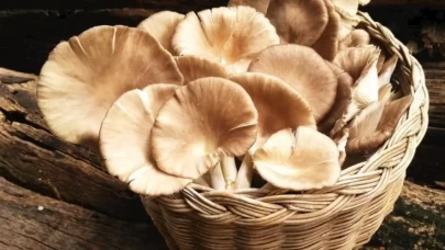 İstiridye Mantarı Nasıl Pişirilir?
