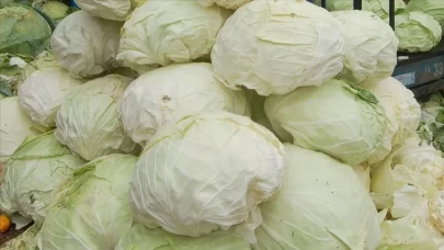 Lahana yapraklarını vücuda sarmanın faydaları