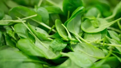 Zayıflamanın sırrı: Diyetisyen onaylı ıspanak çorbası detoksu