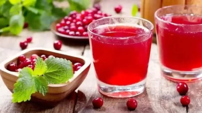 Gilaburu Nedir? Faydaları ve Zararları Nelerdir?