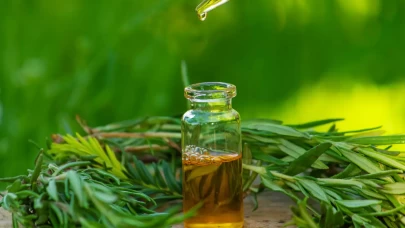 Çay Ağacı Yağının Faydaları: Ne İşe Yarar ve Nasıl Kullanılır?