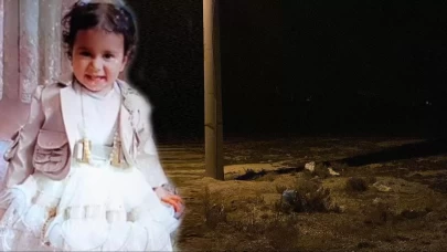 Başıboş köpek saldırısına soruşturma... Bakan Tunç duyurdu