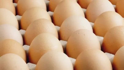 Sofralık yumurta ihracatında fon kesintisi artırıldı