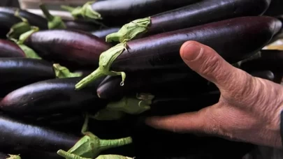 Yüzde 100'e yakın yükselen patlıcan fiyatları düşüşte!