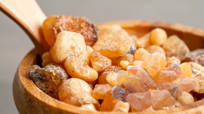 Günlük bitkisi (Akgünlük sakızı) nedir, sağlığa faydaları nelerdir?