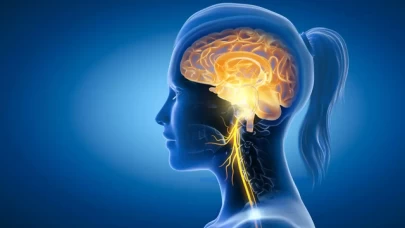 Beyin Sağlığını Tehdit Eden Yiyecekler: Uzak Durmanız Gereken 8 Besin