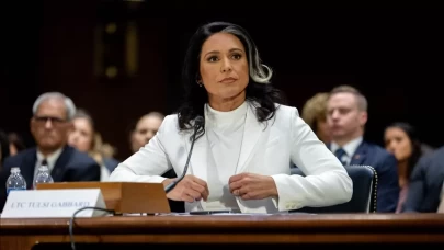 Gabbard: Zelenskiy'nin aklında farklı amaçlar var