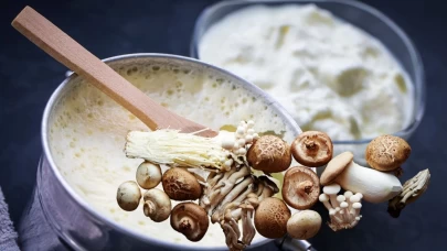 Mantar yoğurt ile birlikte yenir mi?