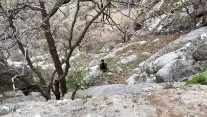PKK'lı teröristler açlıktan teslim oldu! İşte o anlara ait görüntüler