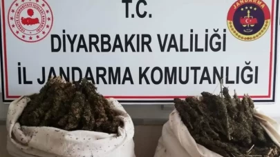 Diyarbakır'da Narko-Terör Operasyonu: 180 kilogram esrar ele geçirildi