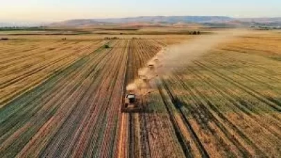 4 yeni il dahil edildi! 75 milyon dolar ilave destek