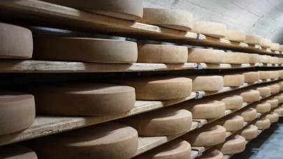 İşte dünyanın en sağlıklı 3 peyniri…