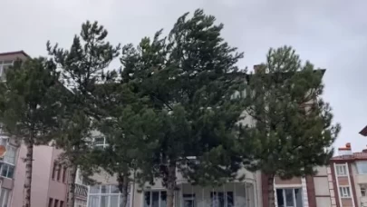 Çankırı için kuvvetli fırtına uyarısı!