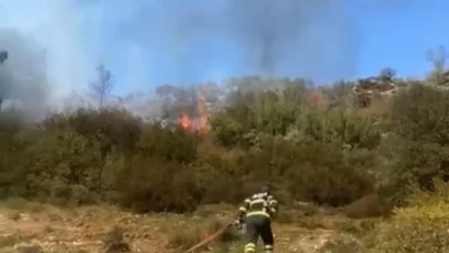 Muğla Menteşe'deki yangın söndürüldü