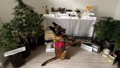 Marmaris’te uyuşturucu operasyonu: Evini seraya çevirdi!