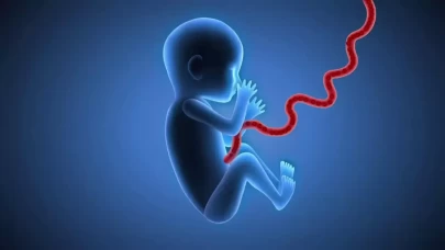 Kordon kanı neden saklanır, ne işe yarar?