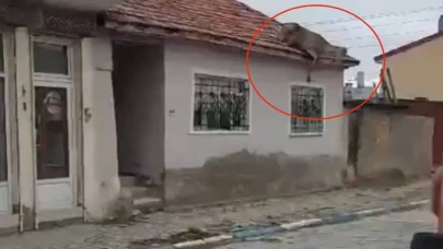 Çatıda kızıl geyiği görenler neye uğradığını şaşırdı
