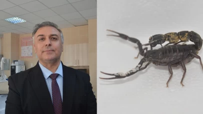 Profesör Doktor, keşfettiği akrep türüne kendi soyadını verdi: Scorpio karakurti