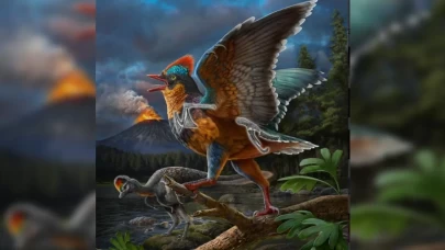 Bilim insanları şimdiye kadarki en eski kuşlardan birini ortaya çıkardı